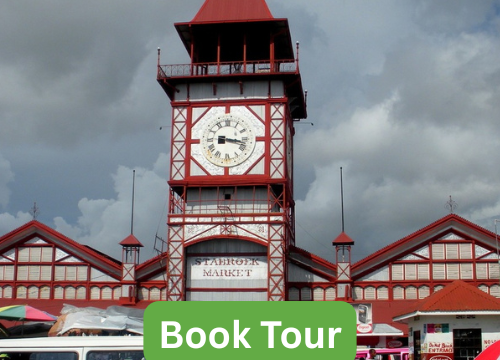 Georgetown City Tour