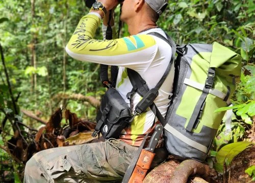 Guyana for Beginners: Essential Travel Tips for Your 2026 Adventure