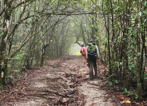 Costal Birding Tour - Trail Masters Adventure Tours 2026-02-04 at 03.05.421770214163