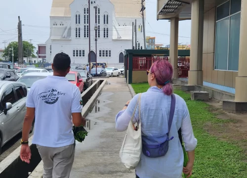 Georgetown City Tour - Trail Masters Adventure Tours2026-02-04 at 03.05.491770209715