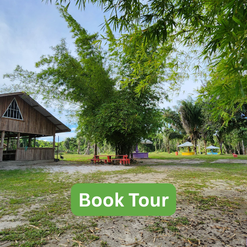 Pakuri Indigenous Cultural Day Tour