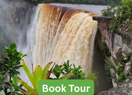 Kaieteur Overland Tour: The Explorer’s Route