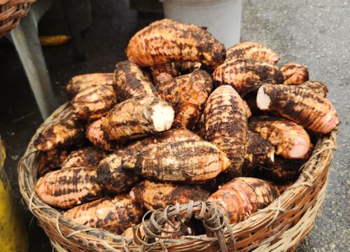 Georgetown Culinary and Cultural Tour- Trail Masters Adventure Tours2026-02-04 at 03.05.52 (2)