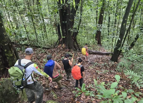 The Ultimate Survival & Prep Guide: How to Pack for a Guyana Rainforest Expedition