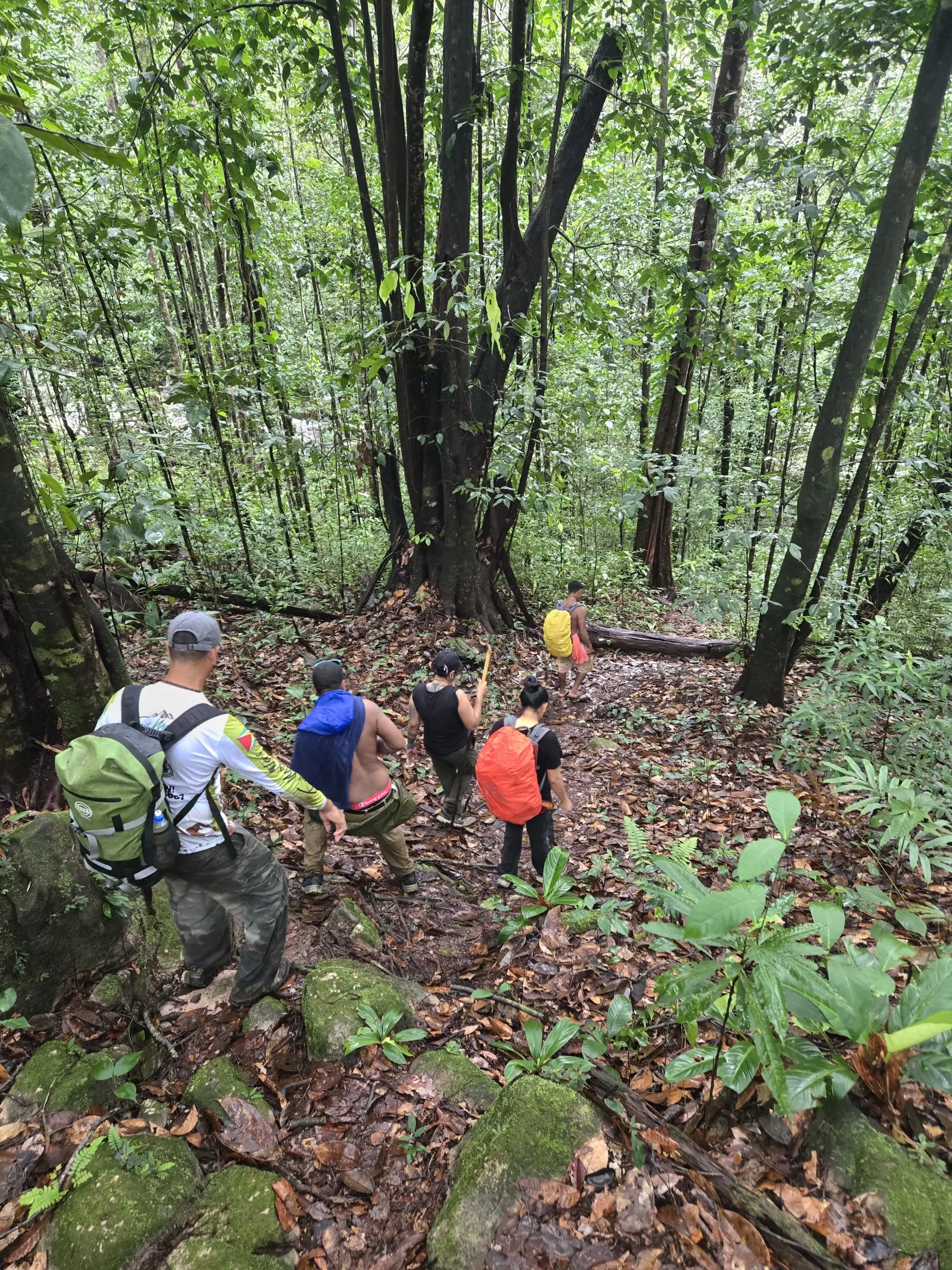 Kaieteur Overland Tour - Trail Masters Adventure Tours-141770211367