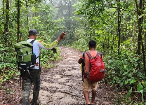 Kaieteur Overland Tour - Trail Masters Adventure Tours-41770211358