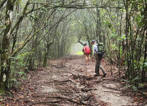 Kaieteur Overland Tour - Trail Masters Adventure Tours-81770211363