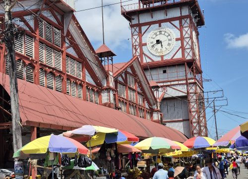 Georgetown City Tour - Trail Masters Adventure Tours2026-02-04 at 03.05.471770209713