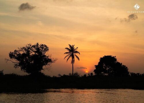 Mahaica River Sunset Tour - Trail Masters Adventure Tours