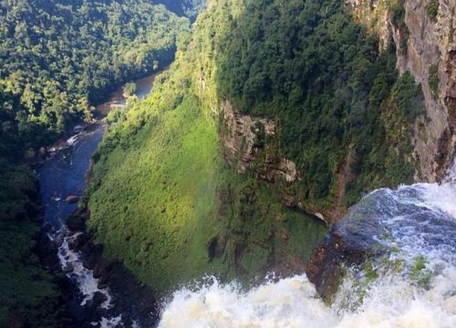Tracking the “Giants of Guyana”: A Wildlife Enthusiast’s Guide to the Amazon
