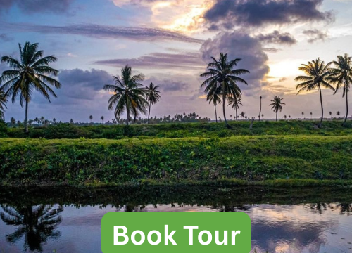 Essequibo River Tour