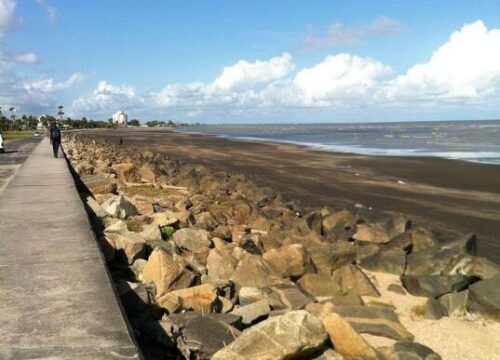 Finding the Pulse of Georgetown at the Kingston Seawall - Trail Masters Adventure Tours