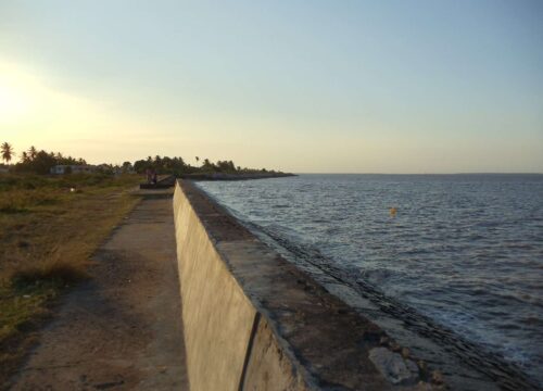 Finding the Pulse of Georgetown at the Kingston Seawall
