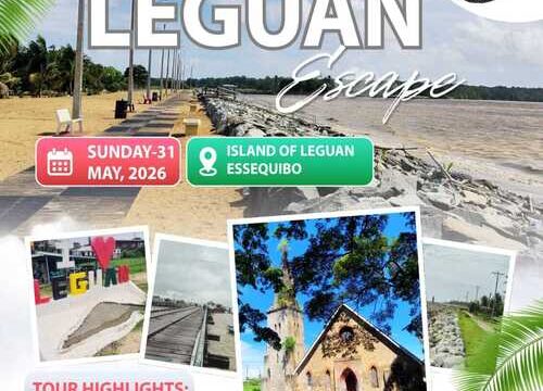 Amazing: Island of LEGUAN Escape