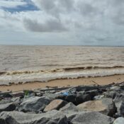 Sun Sea and Jungle Leguan Guyana - Tralmasters Adventure Tours