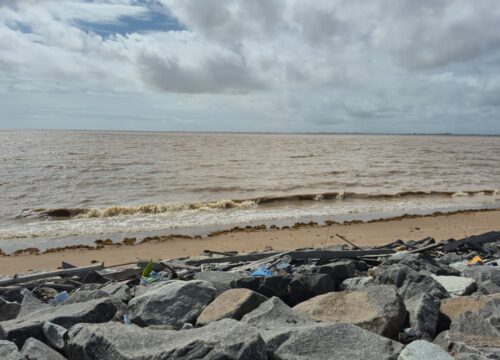 Welcome to Guyana: Experience Sun, Sea, and Jungle with Trailmasters