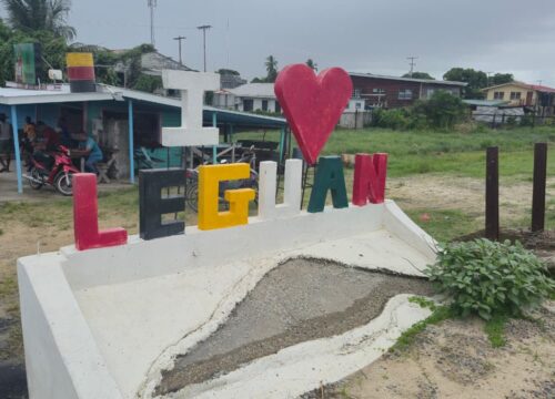 Leguan Guyana - Tralmasters Adventure Tours