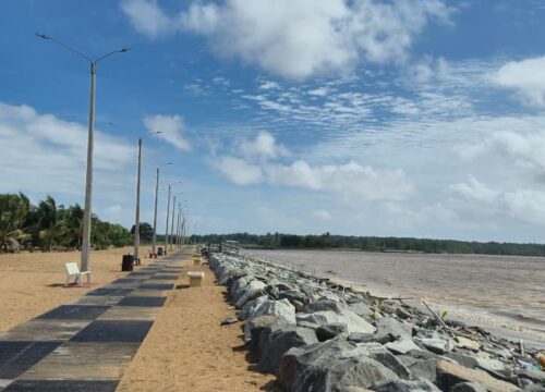 Leguan Guyana - Tralmasters Adventure Tours