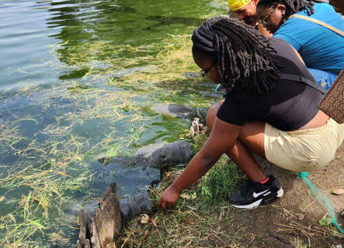 Georgetown: City Tour with Food Tasting and Dinner