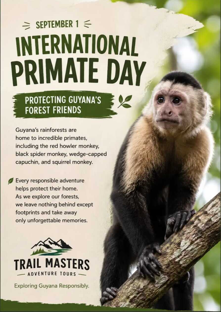 Celebrating International Primate Day